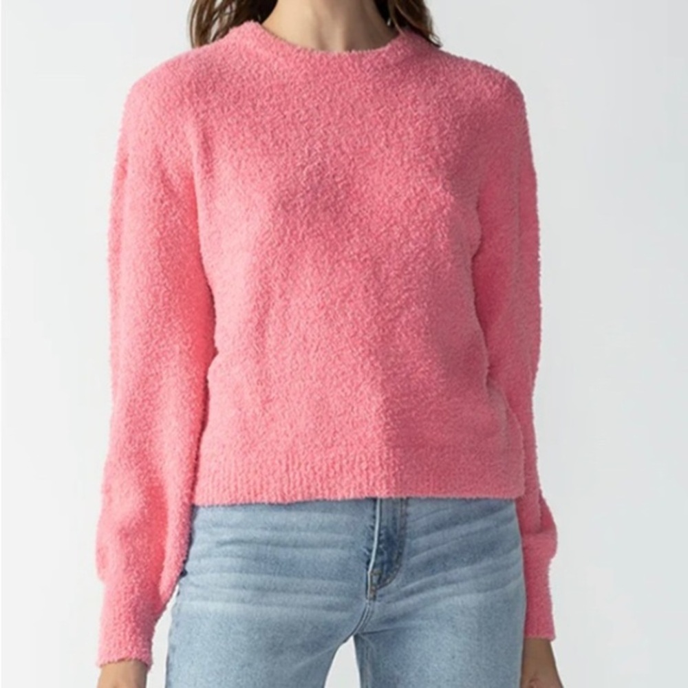 Sanctuary Plush Crew Neck Sweater • Strawberry Creme • Worn Twice • Small - Picture 1 of 3